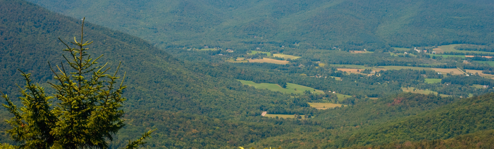 Insurance in Easthampton, MA
