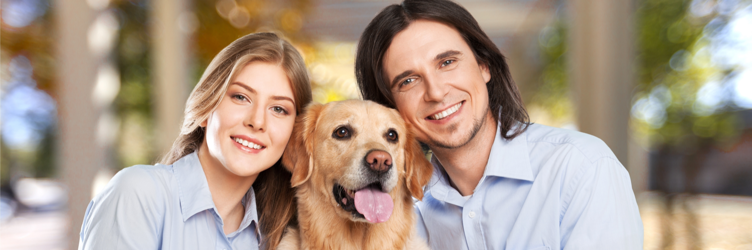 Pet Boarding Insurance Massachusetts