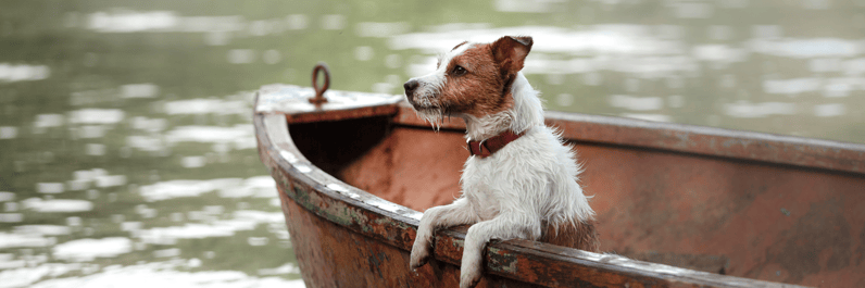 Boat Insurance Massachusetts