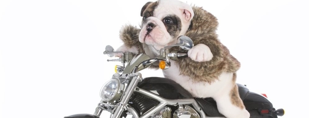 Motorcycle Insurance Longmeadow