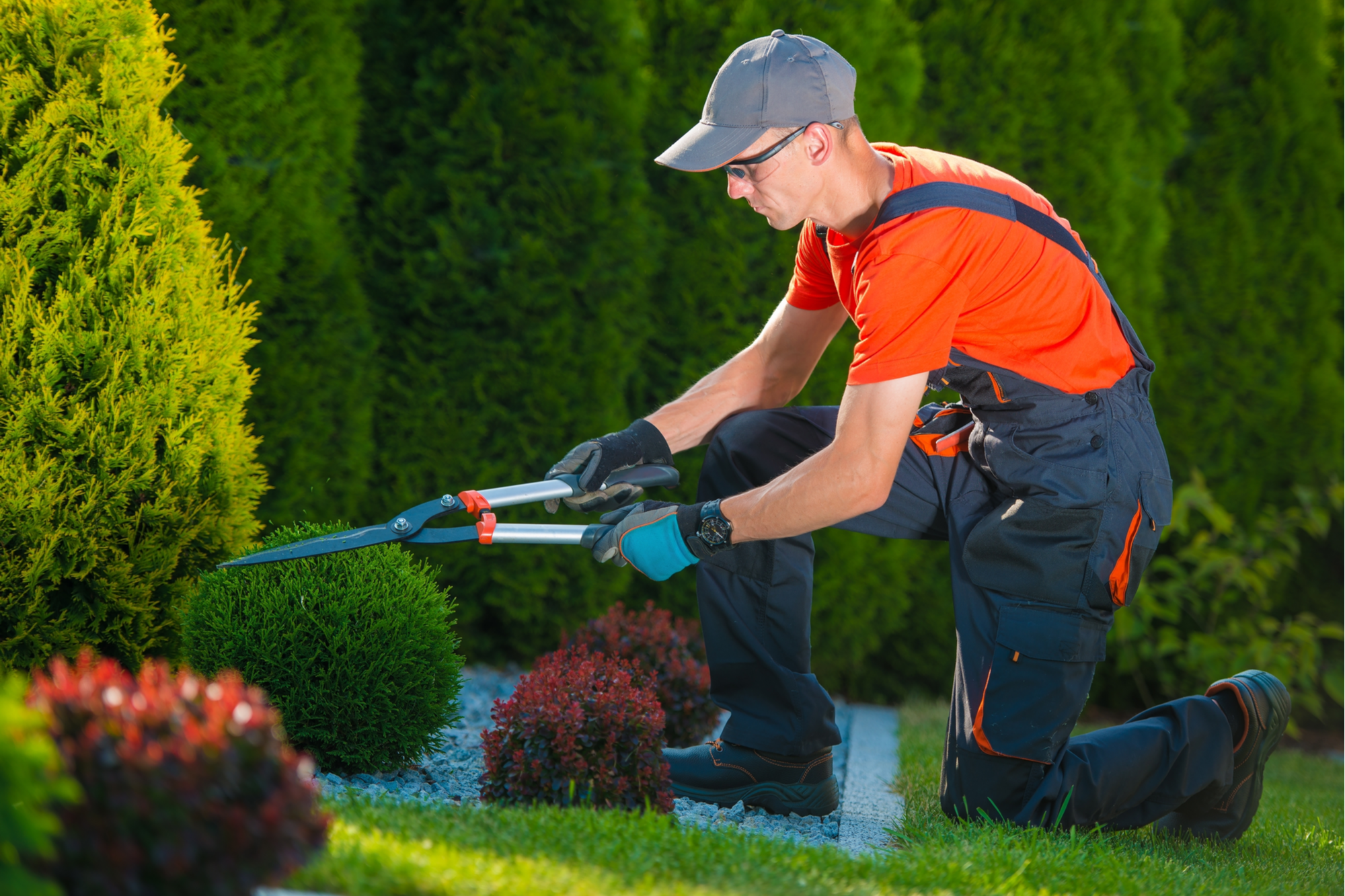 Landscaping Insurance Massachusetts